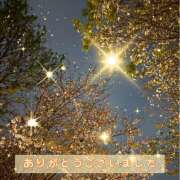 ヒメ日記 2026/04/09 19:18 投稿 桃 変態プレイ専門店 マニアック女人館 本館