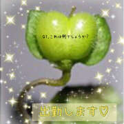 ヒメ日記 2026/04/10 14:44 投稿 桃 変態プレイ専門店 マニアック女人館 本館