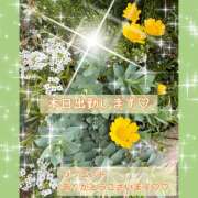 ヒメ日記 2026/04/19 07:55 投稿 桃 変態プレイ専門店 マニアック女人館 本館