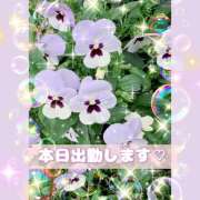 ヒメ日記 2026/04/22 15:05 投稿 桃 変態プレイ専門店 マニアック女人館 本館