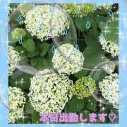 ヒメ日記 2026/06/04 17:06 投稿 桃 変態プレイ専門店 マニアック女人館 本館