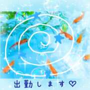 ヒメ日記 2026/08/20 10:57 投稿 桃 変態プレイ専門店 マニアック女人館 本館