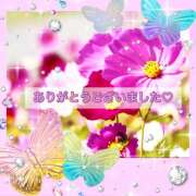 ヒメ日記 2026/08/22 06:11 投稿 桃 変態プレイ専門店 マニアック女人館 本館