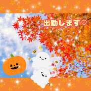 ヒメ日記 2026/09/12 09:03 投稿 桃 変態プレイ専門店 マニアック女人館 本館