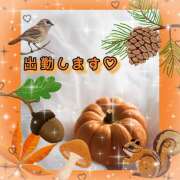 ヒメ日記 2026/09/17 09:01 投稿 桃 変態プレイ専門店 マニアック女人館 本館
