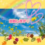 ヒメ日記 2026/09/18 12:08 投稿 桃 変態プレイ専門店 マニアック女人館 本館