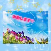 ヒメ日記 2026/09/19 09:24 投稿 桃 変態プレイ専門店 マニアック女人館 本館