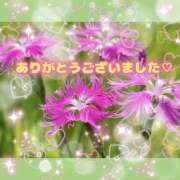 ヒメ日記 2026/10/10 02:51 投稿 桃 変態プレイ専門店 マニアック女人館 本館