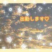ヒメ日記 2026/10/12 07:56 投稿 桃 変態プレイ専門店 マニアック女人館 本館