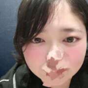 ヒメ日記 2026/04/10 11:52 投稿 すもも ちゃんこ本厚木店