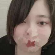 ヒメ日記 2026/04/14 14:44 投稿 すもも ちゃんこ本厚木店