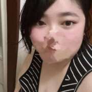 ヒメ日記 2026/04/20 14:41 投稿 すもも ちゃんこ本厚木店