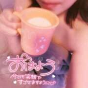 ヒメ日記 2026/03/12 07:11 投稿 木ノ下 陽葵 こあくまな熟女たち高崎店(KOAKUMAグループ)