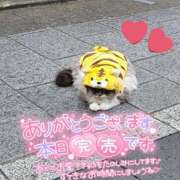 ヒメ日記 2026/03/31 10:37 投稿 木ノ下 陽葵 こあくまな熟女たち高崎店(KOAKUMAグループ)