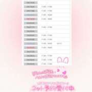 ヒメ日記 2026/04/08 15:34 投稿 木ノ下 陽葵 こあくまな熟女たち高崎店(KOAKUMAグループ)