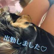 ヒメ日記 2026/06/06 12:28 投稿 りっか 熟女＆人妻＆ぽっちゃり倶楽部