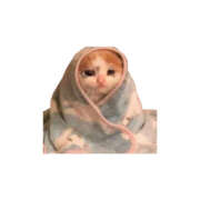 ヒメ日記 2026/03/29 03:22 投稿 えみり かりんと赤坂