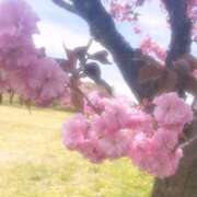 ヒメ日記 2026/05/11 16:34 投稿 そら ラズベリードール