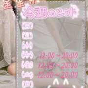ヒメ日記 2026/04/29 23:16 投稿 せりな エンジェルシリカ