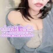 ヒメ日記 2026/03/07 13:23 投稿 ほたる 木更津人妻花壇