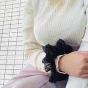 ヒメ日記 2026/03/16 15:37 投稿 成瀬みお 恋する妻たち