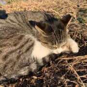 ヒメ日記 2026/03/17 11:48 投稿 成瀬みお 恋する妻たち