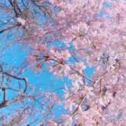 ヒメ日記 2026/03/17 14:08 投稿 成瀬みお 恋する妻たち