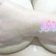 ヒメ日記 2026/04/12 22:32 投稿 しか 香川サンキュー