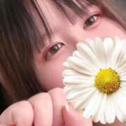 ヒメ日記 2026/03/11 14:21 投稿 りんの 名古屋名駅・栄サンキュー