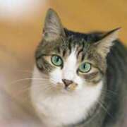 ヒメ日記 2026/03/17 07:13 投稿 谷山さゆり おもてなし妻