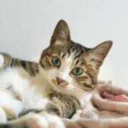 ヒメ日記 2026/03/19 11:00 投稿 谷山さゆり おもてなし妻