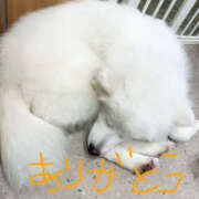 ヒメ日記 2026/03/09 13:57 投稿 大野 あなたに逢いたくて