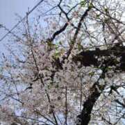 ヒメ日記 2026/03/30 18:24 投稿 わかば 川崎・東横人妻城