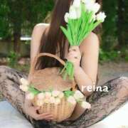 ヒメ日記 2026/03/28 12:09 投稿 れいな ぐっすり山田 横浜店