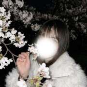 ヒメ日記 2026/04/12 12:04 投稿 かりん アムールクリスタル