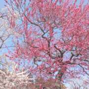 ヒメ日記 2026/03/18 14:44 投稿 おとは 池袋おかあさん