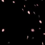 ヒメ日記 2026/04/01 09:22 投稿 ちぐさ 丸妻 横浜本店