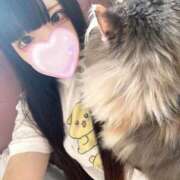 ヒメ日記 2026/04/17 09:26 投稿 ♡のあ♡ Premier(プレミア)