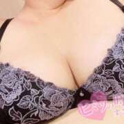 ヒメ日記 2026/07/31 08:28 投稿 今川まゆみ 大阪ぽっちゃり妻 谷九店