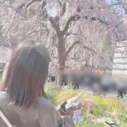 ヒメ日記 2026/03/28 14:38 投稿 ユウカ Juicy＋(ユメオト)