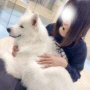 ユウカ 🦋‪癒し🦋‪ Juicy＋(ユメオト)