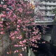 ヒメ日記 2026/04/14 10:44 投稿 まゆ 川崎・東横人妻城