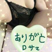 ヒメ日記 2026/06/07 12:12 投稿 こはる セクシーキャット 小田原店