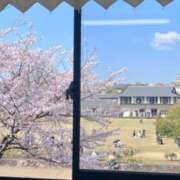 ヒメ日記 2026/03/22 08:46 投稿 赤坂麗来 五十路マダム姫路店