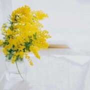 ヒメ日記 2026/03/09 17:08 投稿 美咲えれな 池袋㊙エステ～フル勃起～