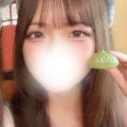 ヒメ日記 2026/03/10 12:04 投稿 南条うめ ブルーバード