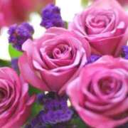 ヒメ日記 2026/04/17 11:42 投稿 しずく 待ちナビ