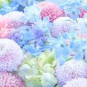 ヒメ日記 2026/04/18 04:35 投稿 しずく 待ちナビ