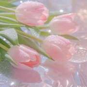 ヒメ日記 2026/04/18 04:55 投稿 しずく 待ちナビ