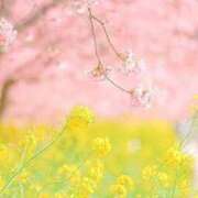 ヒメ日記 2026/04/18 08:19 投稿 しずく 待ちナビ